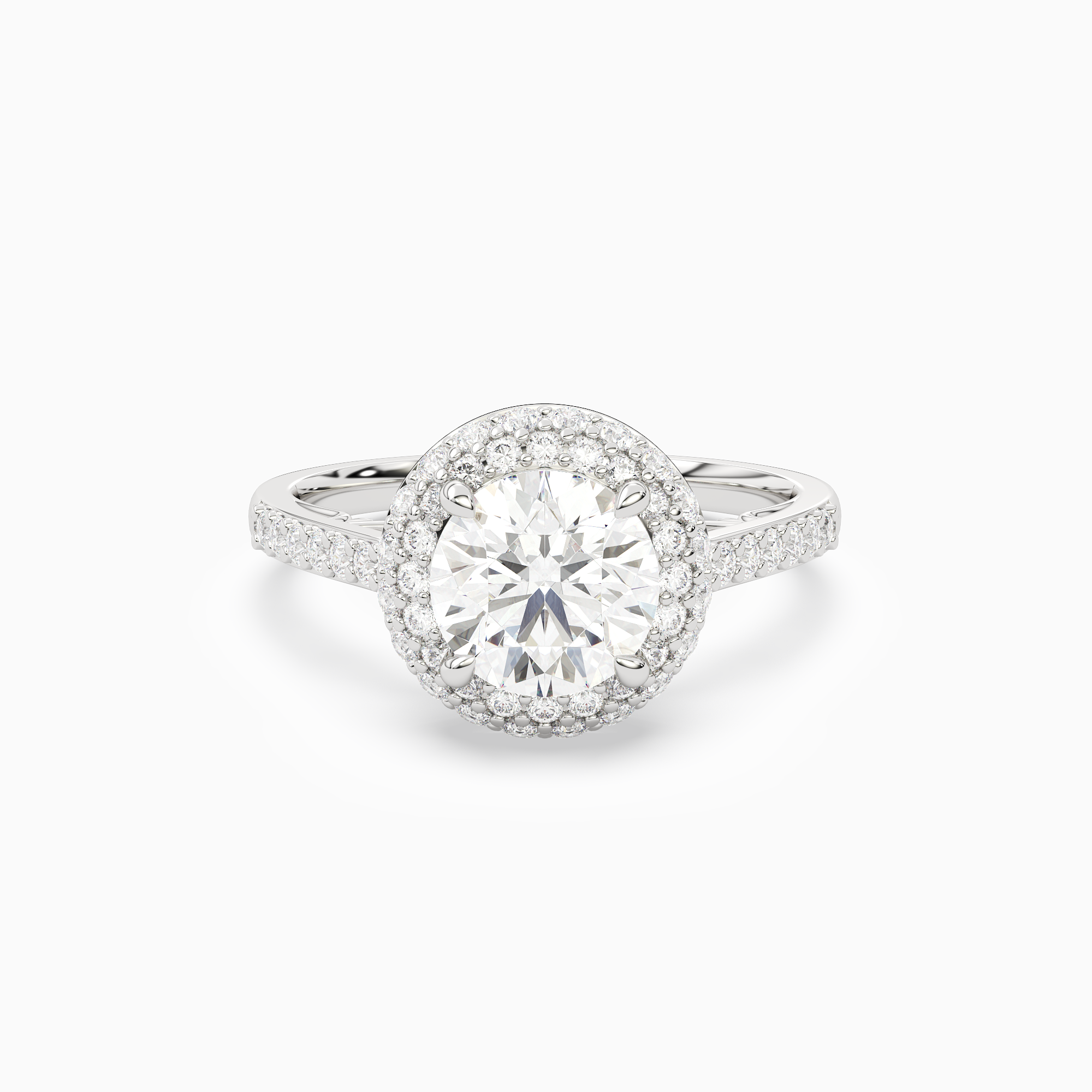 Round Regal Halo Pavé in Platinum main white