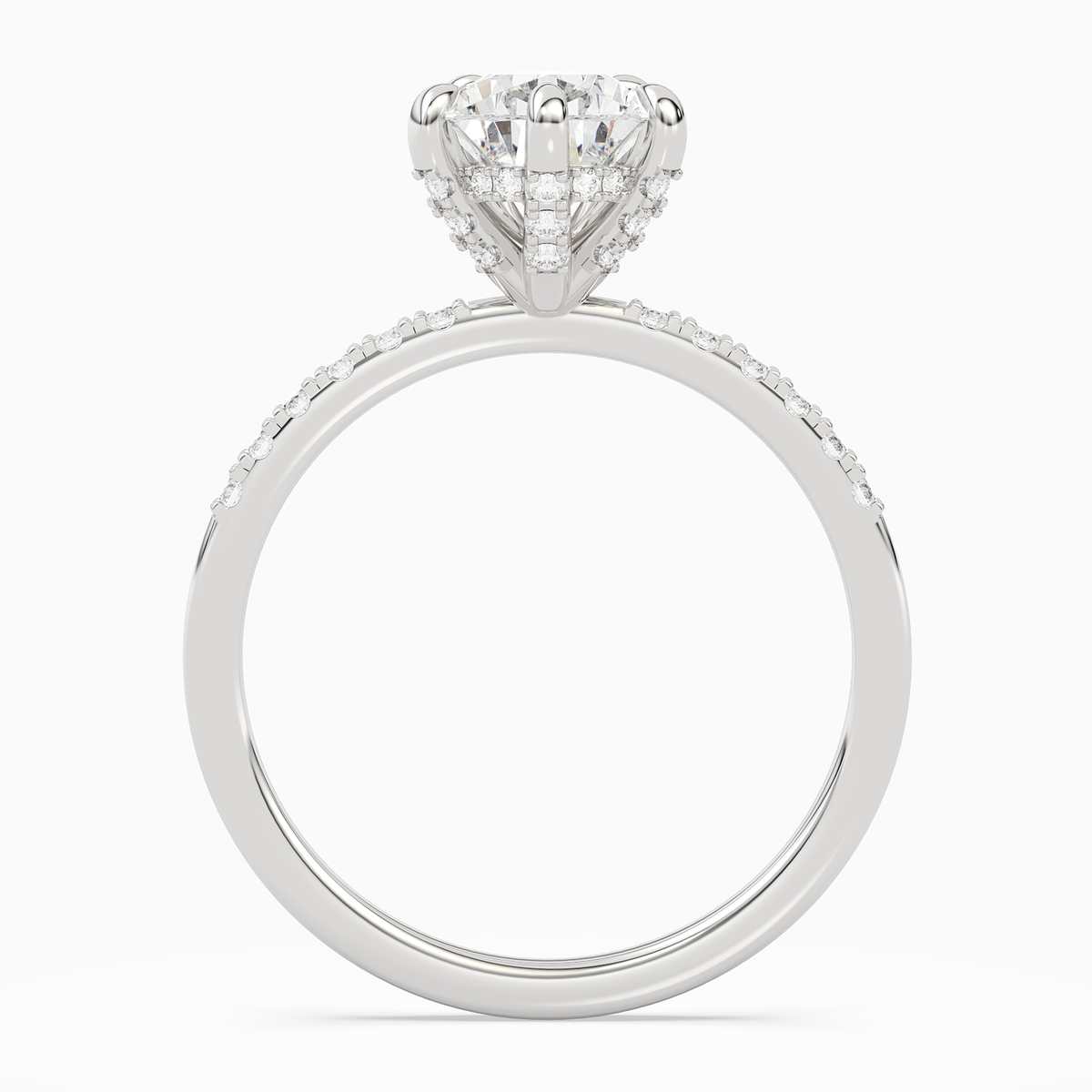 Pear Hidden Halo Accent Petite Pavé in 14K White Gold side profile