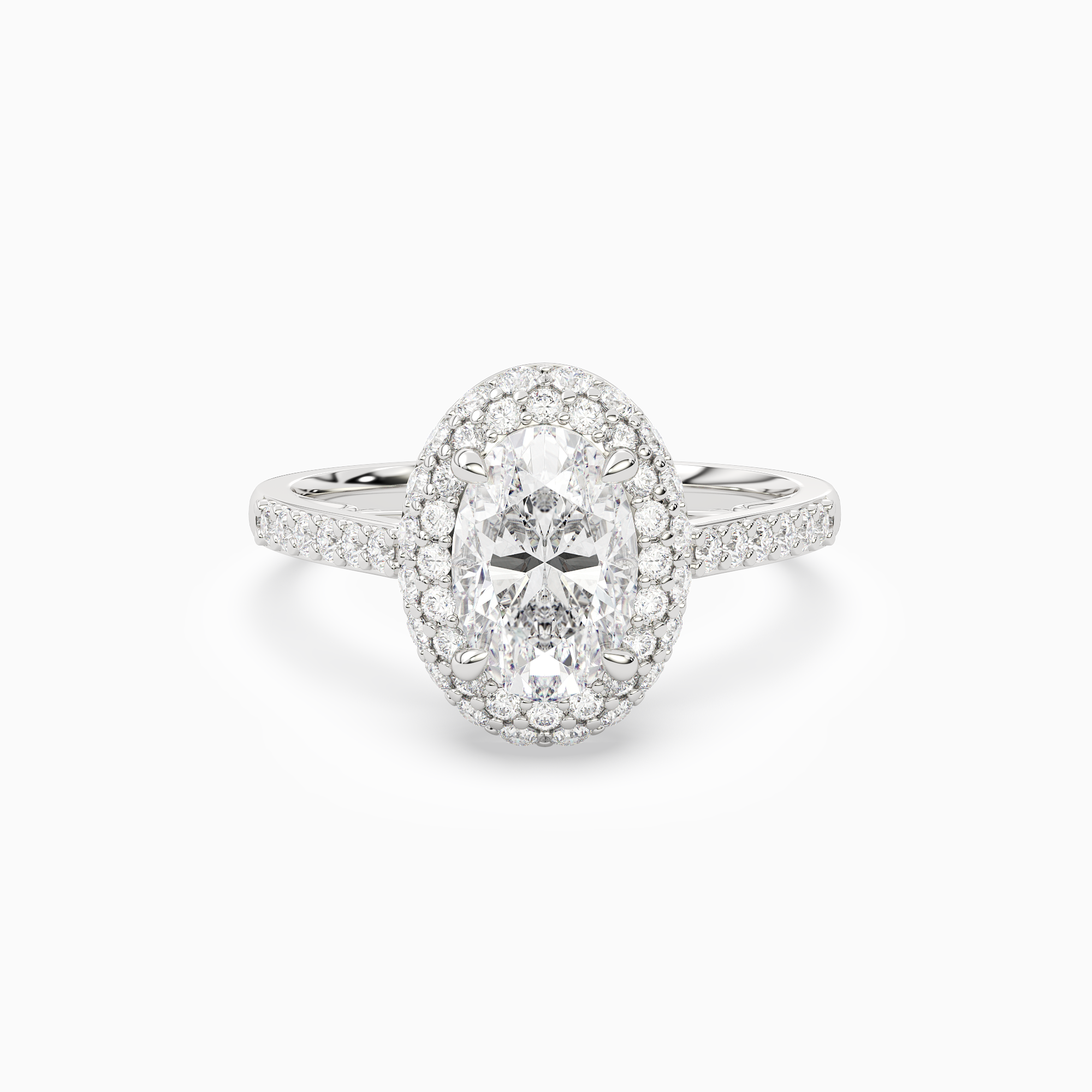 Oval Regal Halo Pavé in Platinum main white