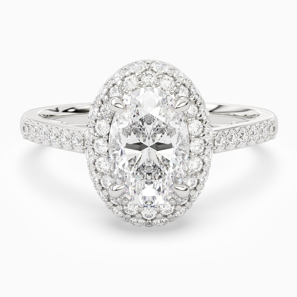 Oval Regal Halo Pavé in Platinum main white