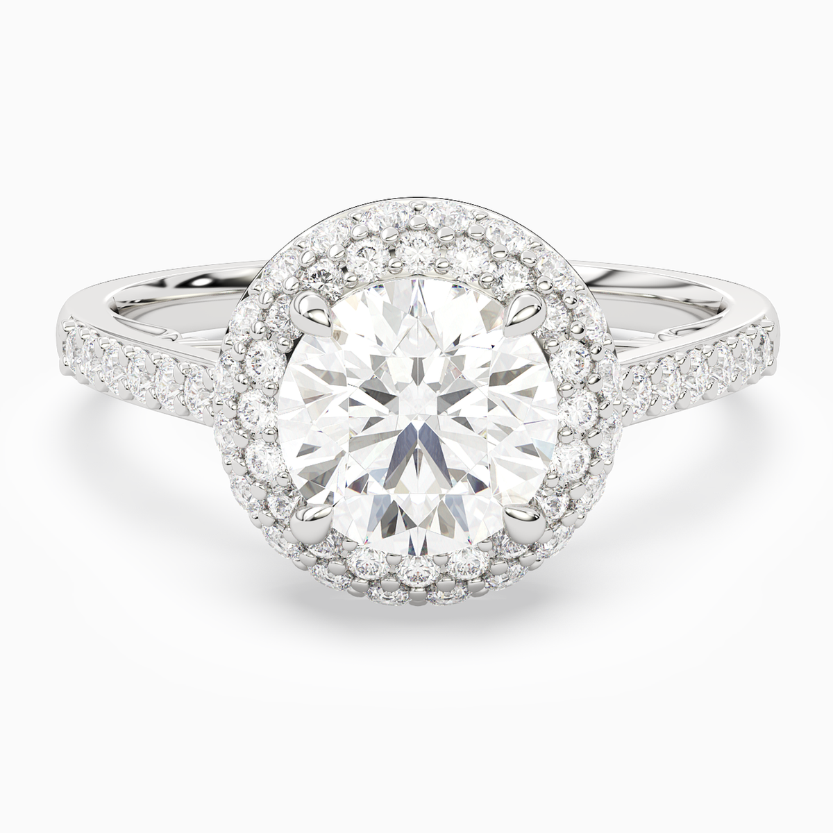 Round Regal Halo Pavé in 14K White Gold main white
