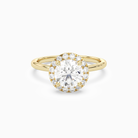 Round Scalloped Halo Baseline in 14K Yellow Gold main white