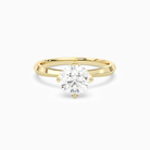 Round Solitaire in 14K Yellow Gold main white