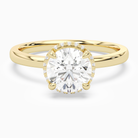 Round Double Hidden Halo Plain in 14K Yellow Gold main white