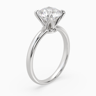 Round Petite Classic Solitaire in Platinum angled