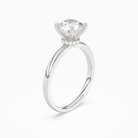 Round Hidden Halo Crown Clean in 14K White Gold angled
