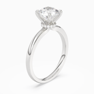 Round Hidden Halo Crown Clean in 14K White Gold angled