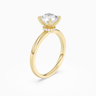 Round Hidden Halo Crown Clean in 14K Yellow Gold angled