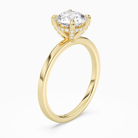 Round Hidden Halo Accent Plain in 14K Yellow Gold angled