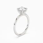 Round Hidden Halo Accent Plain in Platinum angled