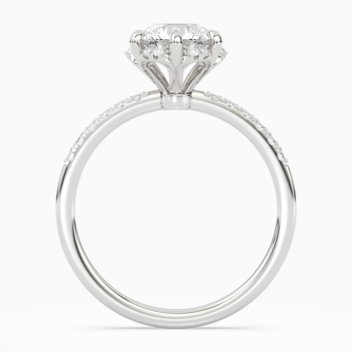 Round Crown Halo Pavé in 14K White Gold side profile
