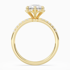Round Crown Halo Pavé in 14K Yellow Gold side profile