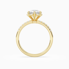 Round Crown Halo Pavé in 18K Yellow Gold side profile