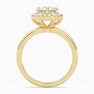 Round Halo in 18K Yellow Gold side profile