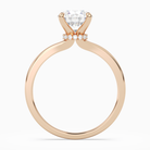 Round Hidden Halo Crown Clean in 14K Rose Gold side profile