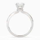 Round Hidden Halo Crown Clean in 14K White Gold side profile