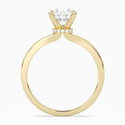 Round Hidden Halo Crown Clean in 14K Yellow Gold side profile