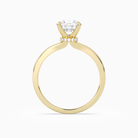 Round Hidden Halo Crown Clean in 18K Yellow Gold side profile