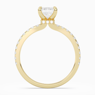 Emerald Hidden Halo Crown Petite Pavé in 14K Yellow Gold side profile