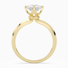 Round Solitaire in 18K Yellow Gold side profile