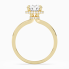 Round Double Hidden Halo Plain in 18K Yellow Gold side profile