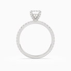 Emerald Hidden Halo Accent Luxe Pavé in Platinum side profile