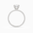 Round Hidden Halo Accent Luxe Pavé in Platinum side profile