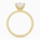 Princess Hidden Halo Accent Pavé in 14K Yellow Gold side profile