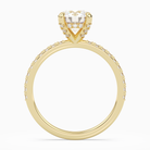 Round Hidden Halo Accent Pavé in 18K Yellow Gold side profile