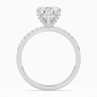 Pear Hidden Halo Accent Petite Pavé in 14K White Gold side profile
