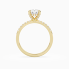 Round Hidden Halo Accent Petite Pavé in 14K Yellow Gold side profile