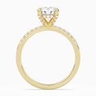 Round Hidden Halo Accent Petite Pavé in 18K Yellow Gold side profile