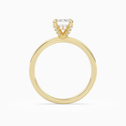 Emerald Hidden Halo Accent Plain in 14K Yellow Gold side profile