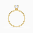 Oval Hidden Halo Accent Plain in 14K Yellow Gold side profile