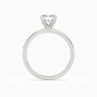 Radiant Hidden Halo Accent Plain in Platinum side profile