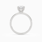 Round Hidden Halo Accent Plain in 14K White Gold side profile