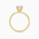 Round Hidden Halo Accent Plain in 18K Yellow Gold side profile