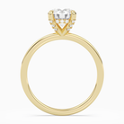 Round Hidden Halo Accent Plain in 18K Yellow Gold side profile
