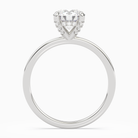 Round Hidden Halo Accent Plain in Platinum side profile