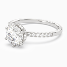 Round Crown Halo Pavé in 18K White Gold top angle