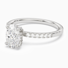 Oval Hidden Halo Accent Petite Pavé in Platinum top angle