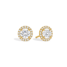 Seren Halo Lab Grown Diamond Stud Earrings in 14K Yellow Gold