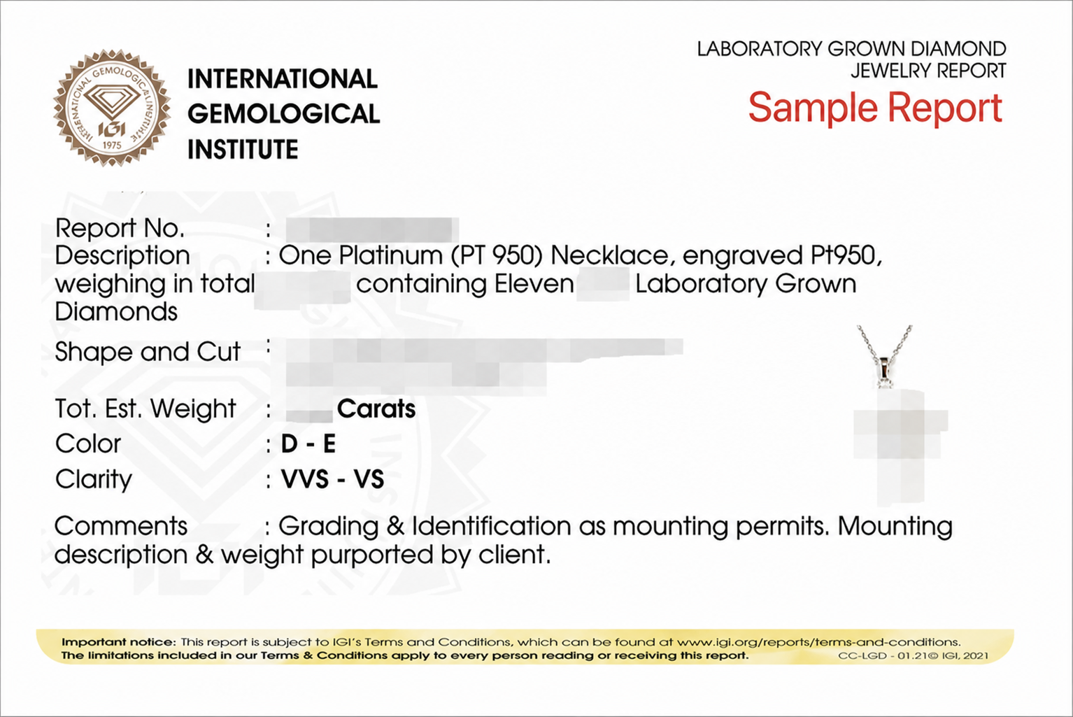IGI jewelry report sample